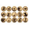 Les 15 pièces de collection dorées du kit Dinosaures, une pour chaque escale du voyage