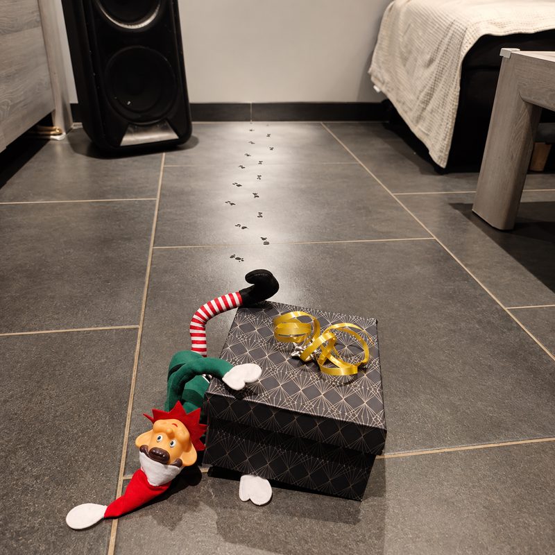 Lutin farceur arrivé pendant la nuit, avec une piste d'empreintes et un paquet