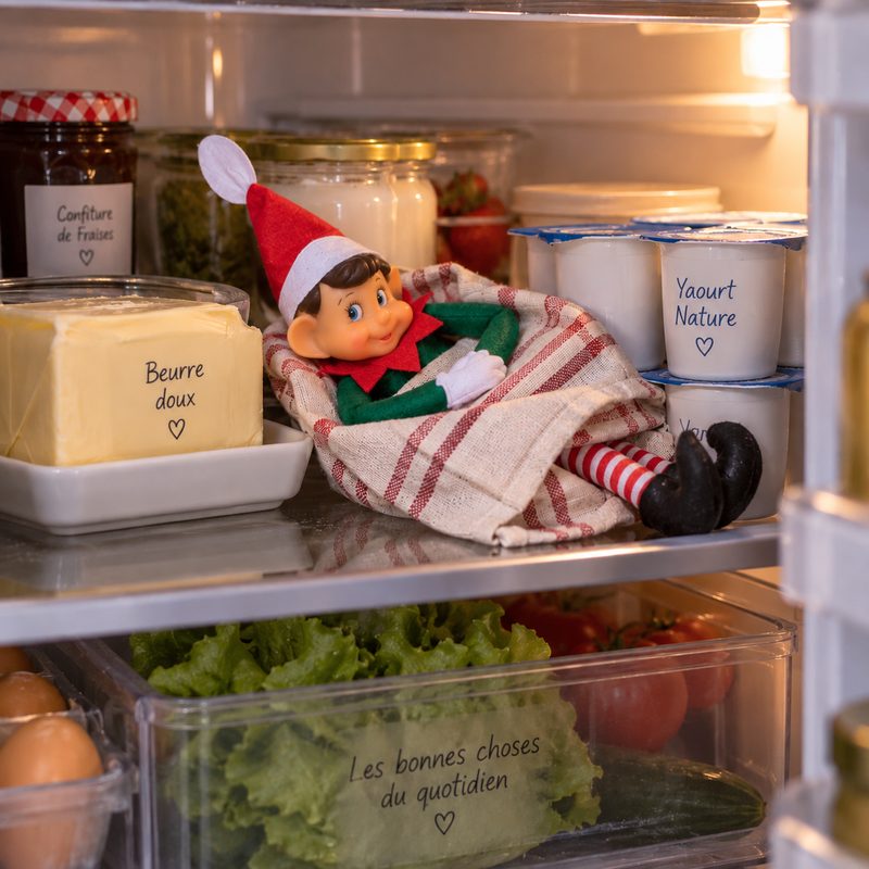Bêtise de lutin : lutin endormi dans le réfrigérateur, enroulé dans un torchon